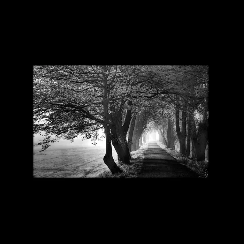 Гравировка по граниту Пейзаж – 07 | Пейзажи